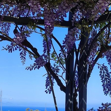 Casa Del Poggio Barone - Limone Villa Rodi Bagian luar foto