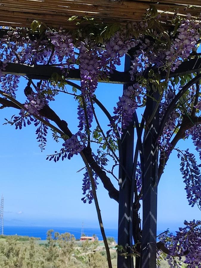Casa Del Poggio Barone - Limone Villa Rodi Bagian luar foto